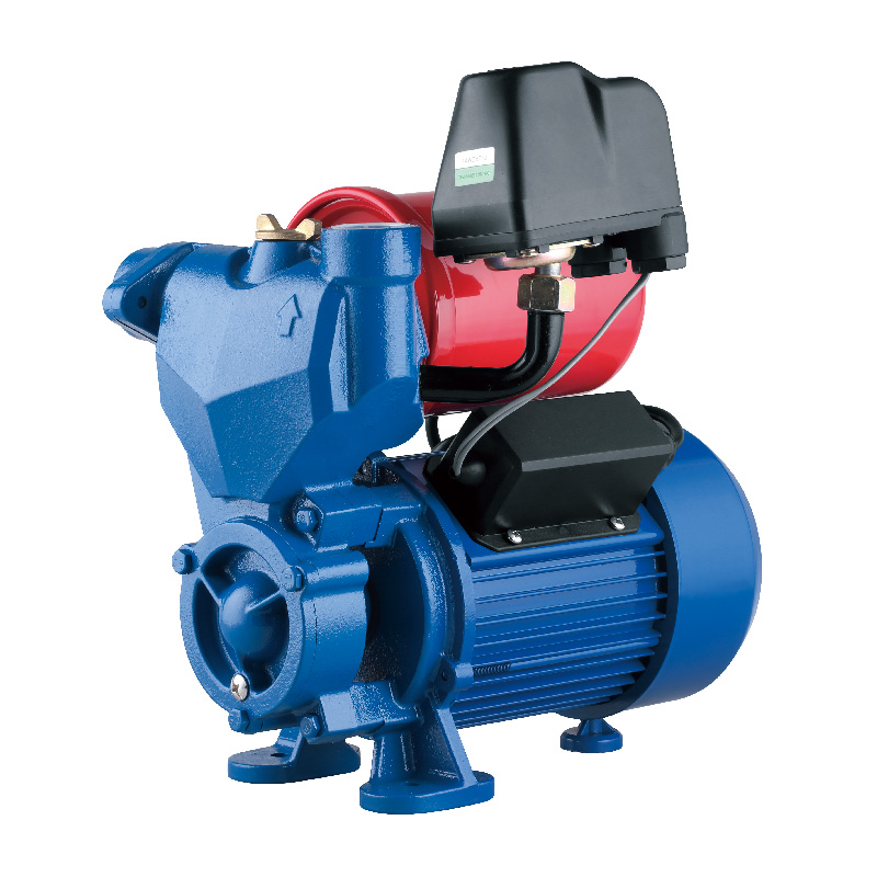 AUTO booster pump